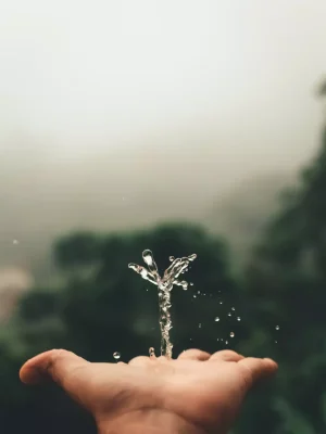 agua y medio ambiente